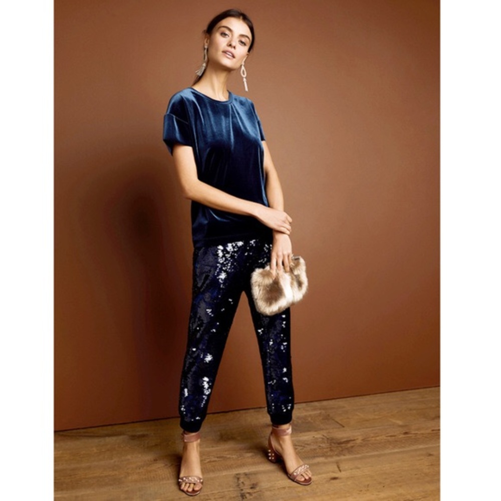 Anthropologie Ett:twa sequin velvet joggers, sz S✨
